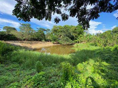 Lotes y fincas Ventas  Bayunca